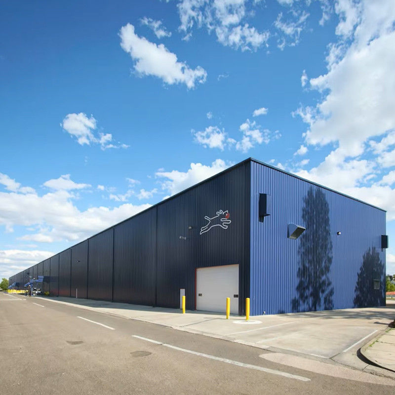 Premium Custom Prefab Steel Structure Building Long Lasting Low-Cost and Easy Install Warehouses