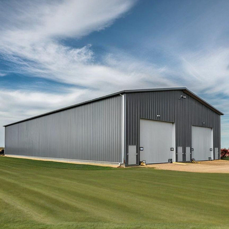Steel Structure Warehouse Prefabricated High-Strength Steel Buildings for Industrial Storage & Logistics