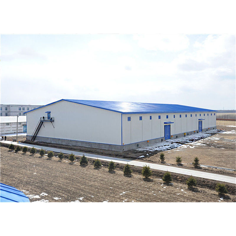 Customized Solutions for Steel Structure Warehouse 10 Years Export Manufacturing and After-Sales Support Experience