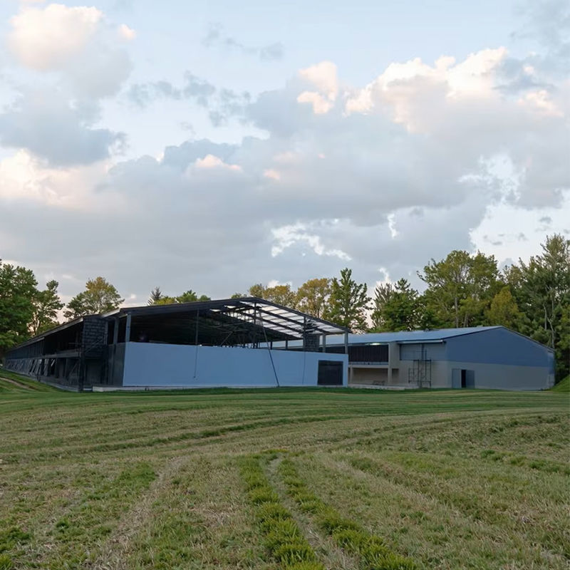 Prefab Cheap Cost Steel Structure Chicken House Farm Broiler Poultry Shed Construction Design