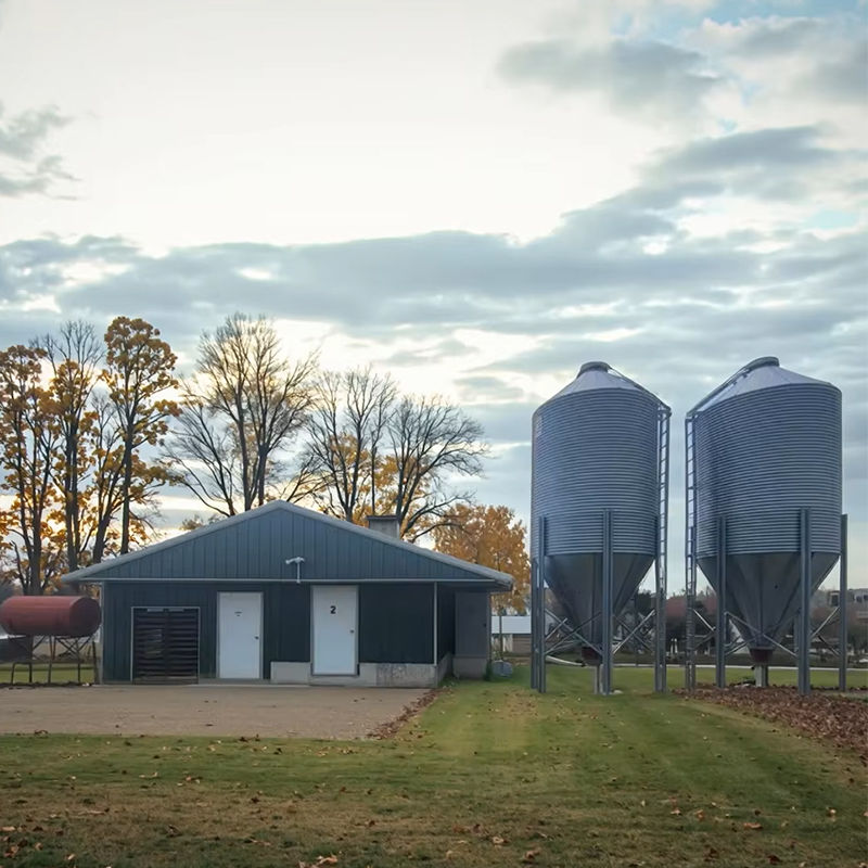 Prefab Cheap Cost Steel Structure Chicken House Farm Broiler Poultry Shed Construction Design