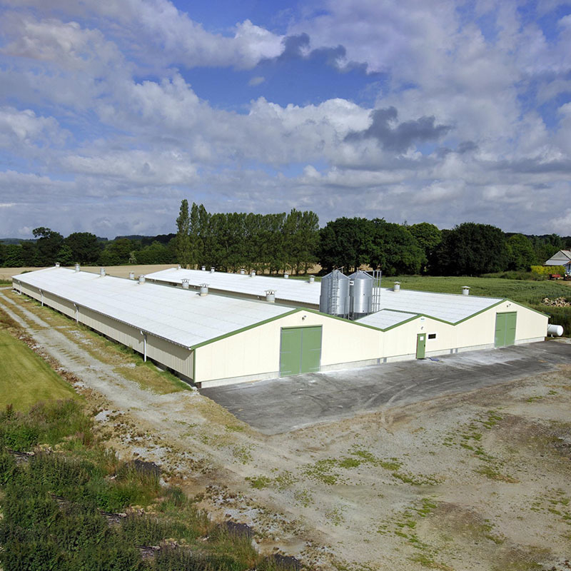 Custom Modern Steel Frame House , High Strength Metal Chicken House
