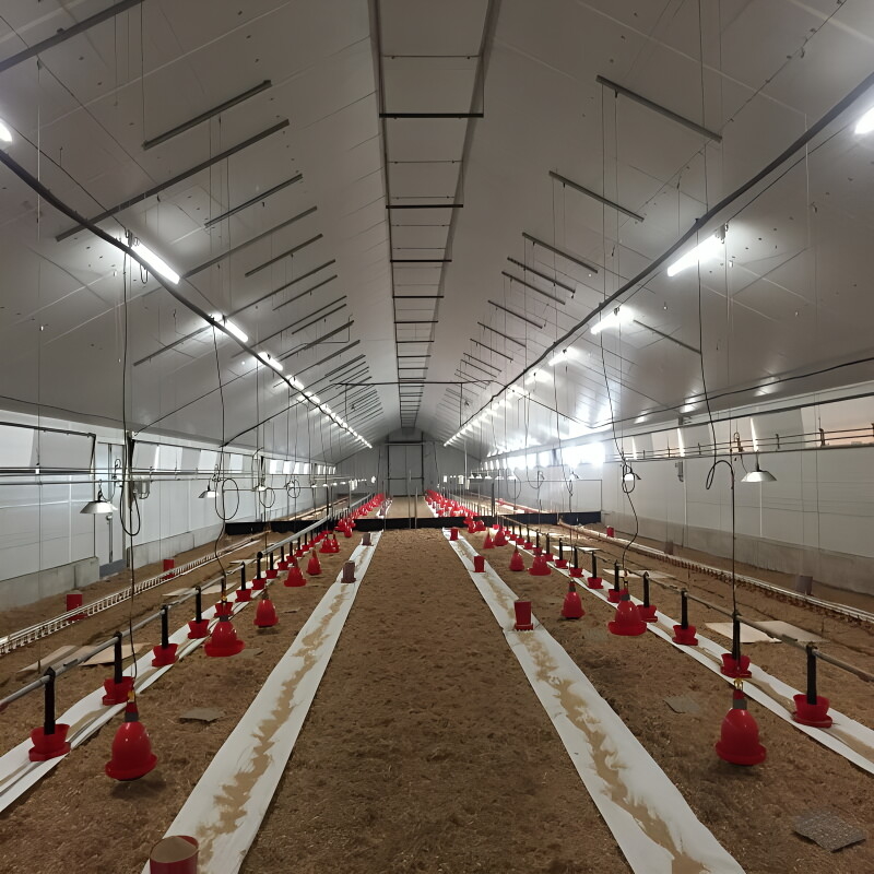 Lightweight Low Cost Steel Frame House , Prefab Steel Frame Farm Building