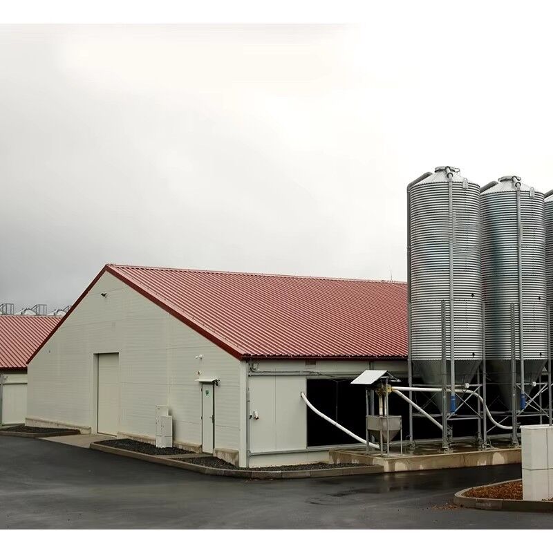 Prefabricated Steel Structure Chicken House With EPS Sandwich Panel Wall, Corrugated Steel Sheet Roof, And Polyurethane Foam Insulation