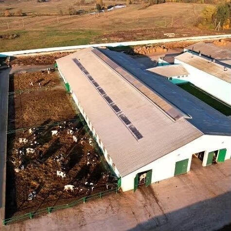 Eco Ventilated Steel Structure Cow Shed Prefab
