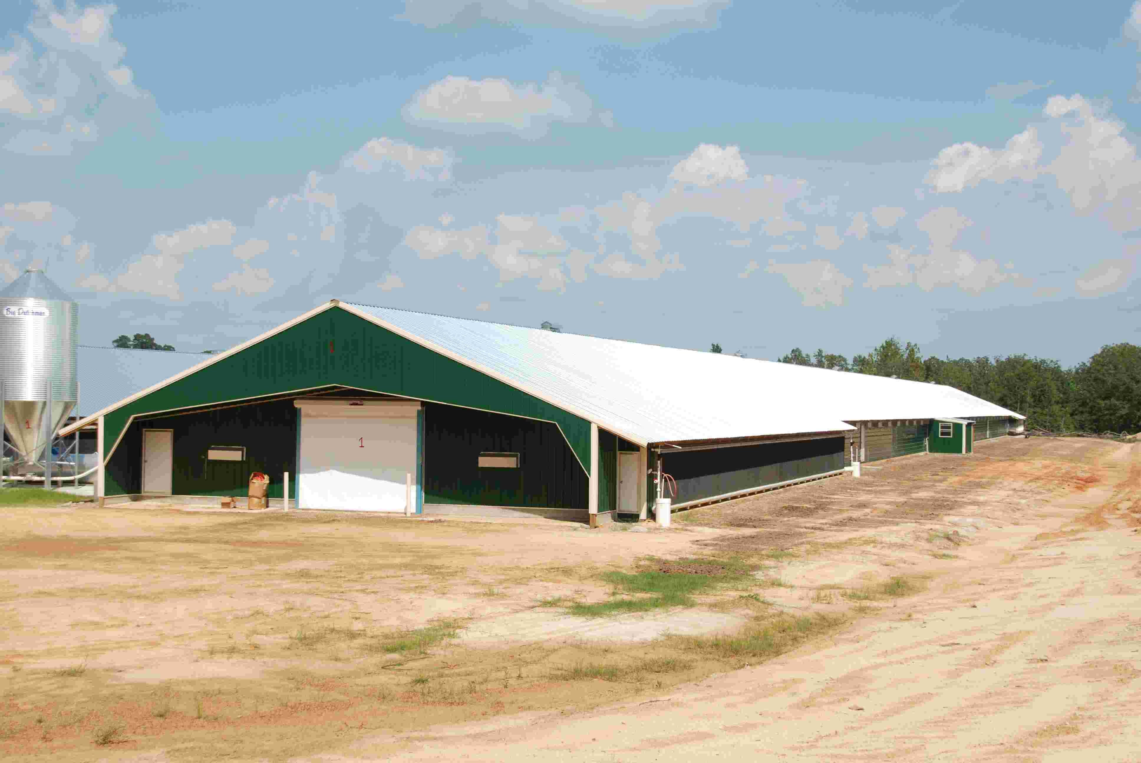 Prefab Automatic Steel Structure Chicken House / Chicken Coop Steel Frame House