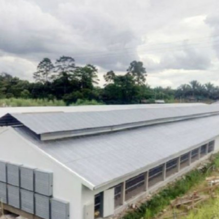 Q235B Q355B Steel Structure Chicken House , Economical Prefab Steel Structure Building