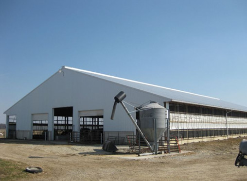 Economical Light Steel Structure Chicken House , Prefab Agricultural Buildings