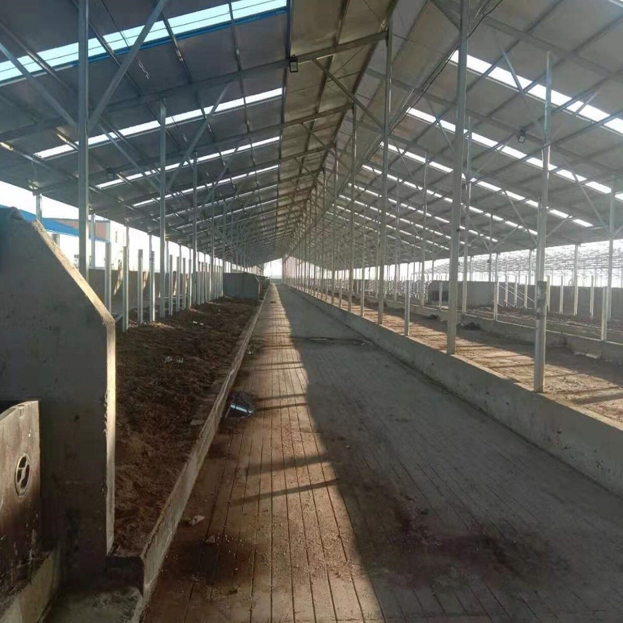 Prefab Steel Structure Warehouse , Metal Dairy Barn Building