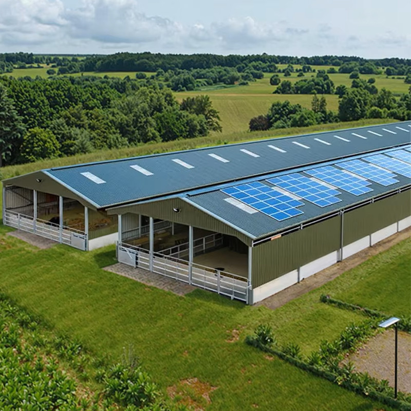 Cow Shed Prefab Steel Farm Building Steel Structure For Livestock