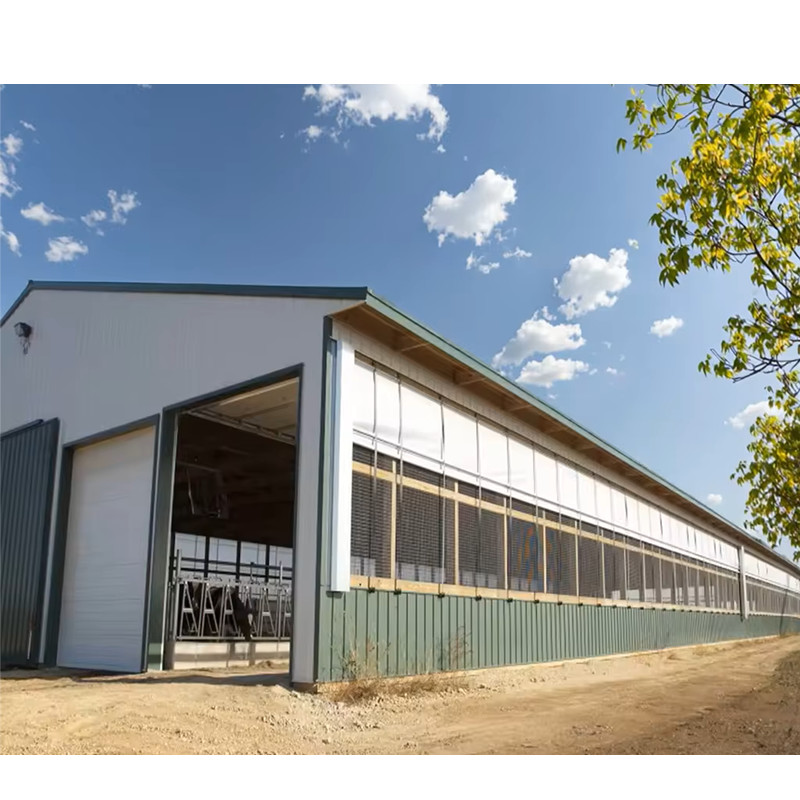 Cheap Cost and Easy Install Prefab Customized Cow Shed Prefabricated Steel Structure Design Dairy Farm