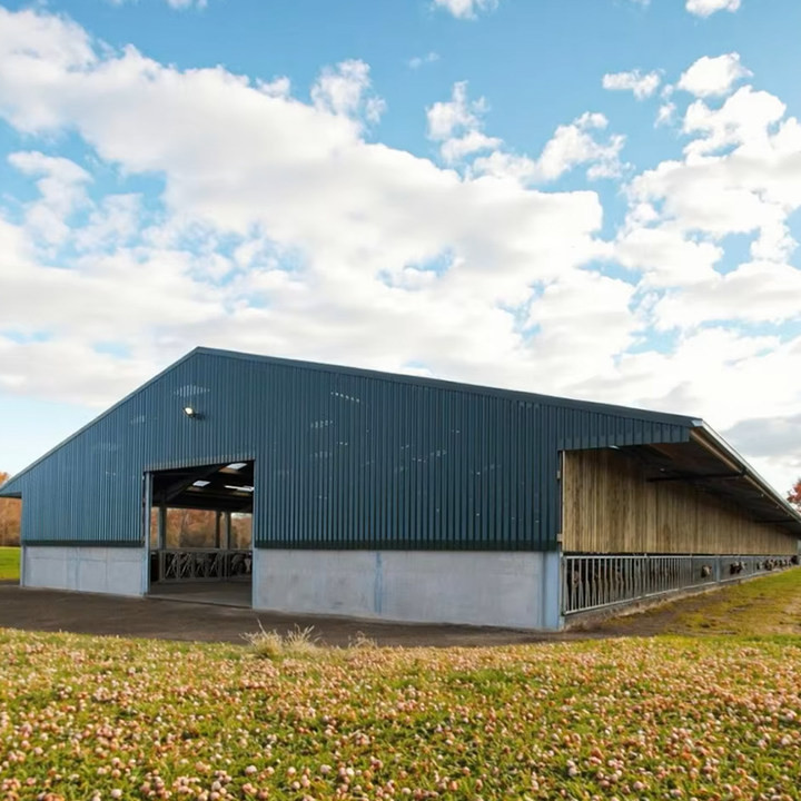 Cheap Cost and Easy Install Prefab Customized Cow Shed Prefabricated Steel Structure Design Dairy Farm
