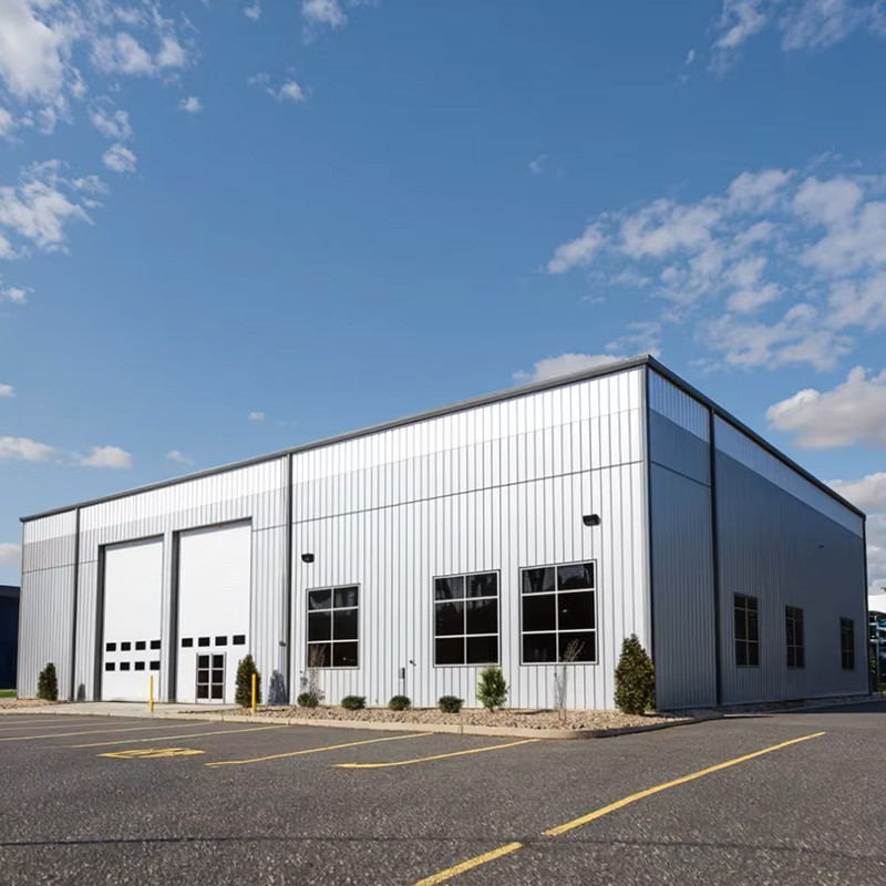 Commercial Large Space Steel Structure Warehouse Prefabricated and Durable Frame Building Economically Priced
