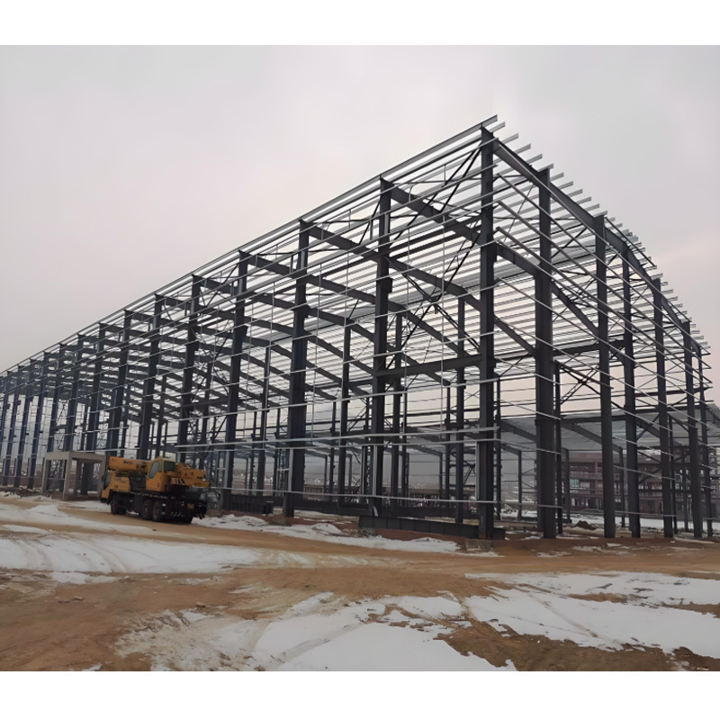 Durable and Sustainable Steel Structure Workshop for Industrial Applications