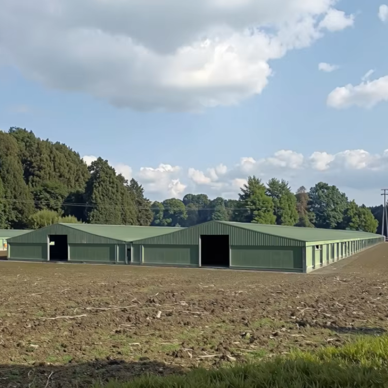 Automatic Prefabricated Steel Structure Poultry Farm Building Shed Broiler Commercial Farming Chicken Houses