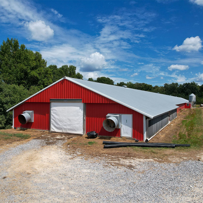 Q235B Q355B Steel Structure Chicken House , Economical Prefab Steel Structure Building