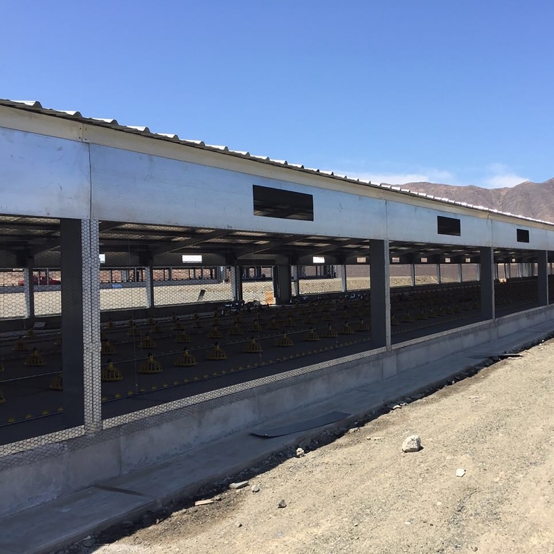 Q235B Q355B Steel Structure Chicken House , Economical Prefab Steel Structure Building