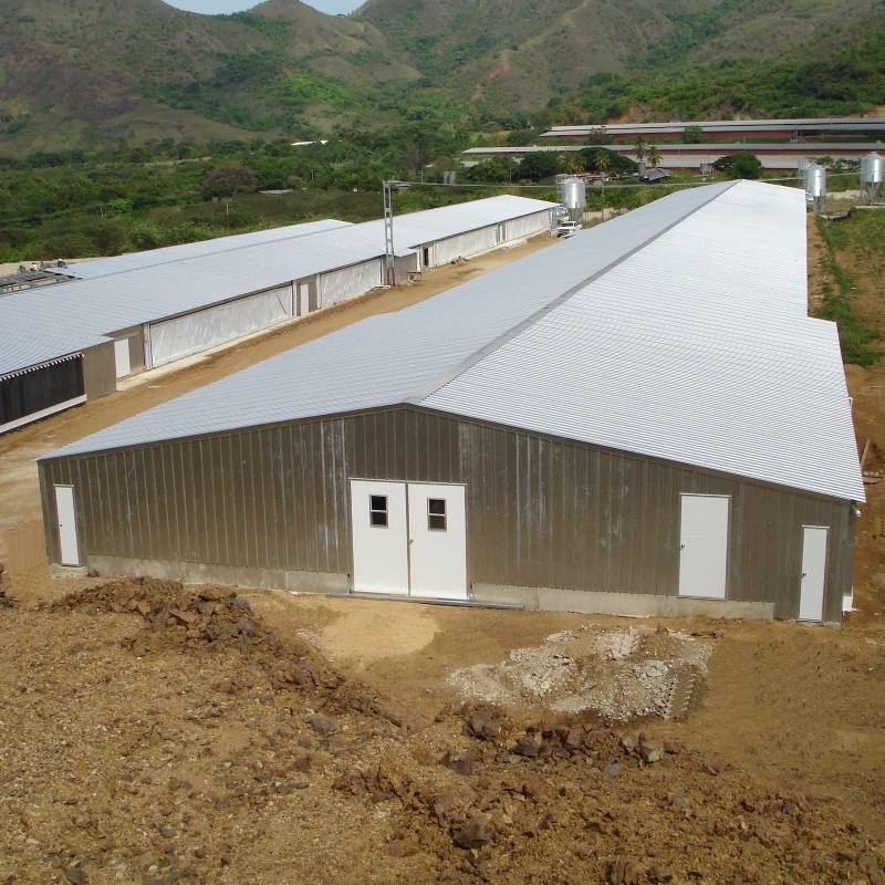 Q235B Q355B Steel Structure Chicken House , Economical Prefab Steel Structure Building