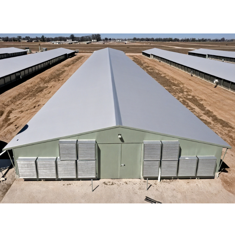 Automatic Prefab Steel Structure Chicken House Q235 Q345 Steel Frame Shed House