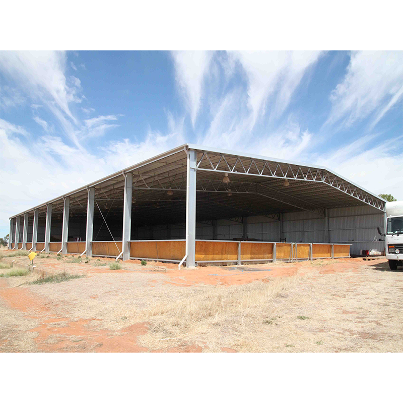Q235B Q355B Steel Structure Cow Shed Economical Steel Frame Farm Buildings For Cow / Cattle Care