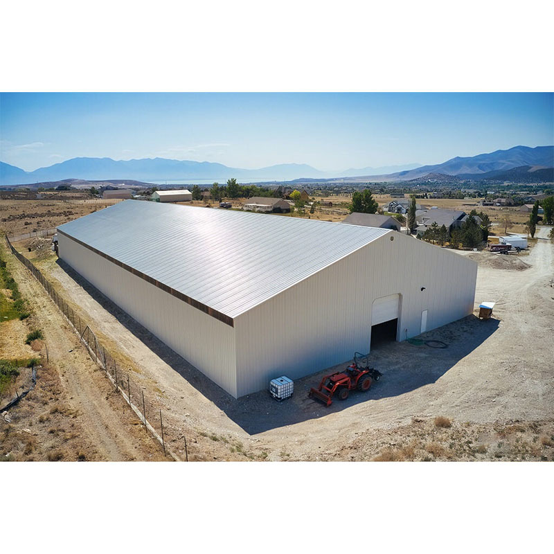 Turnkey Project Solution Steel Structure Warehouse with 40 Days Delivery Time and Painted or Galvanized Surface