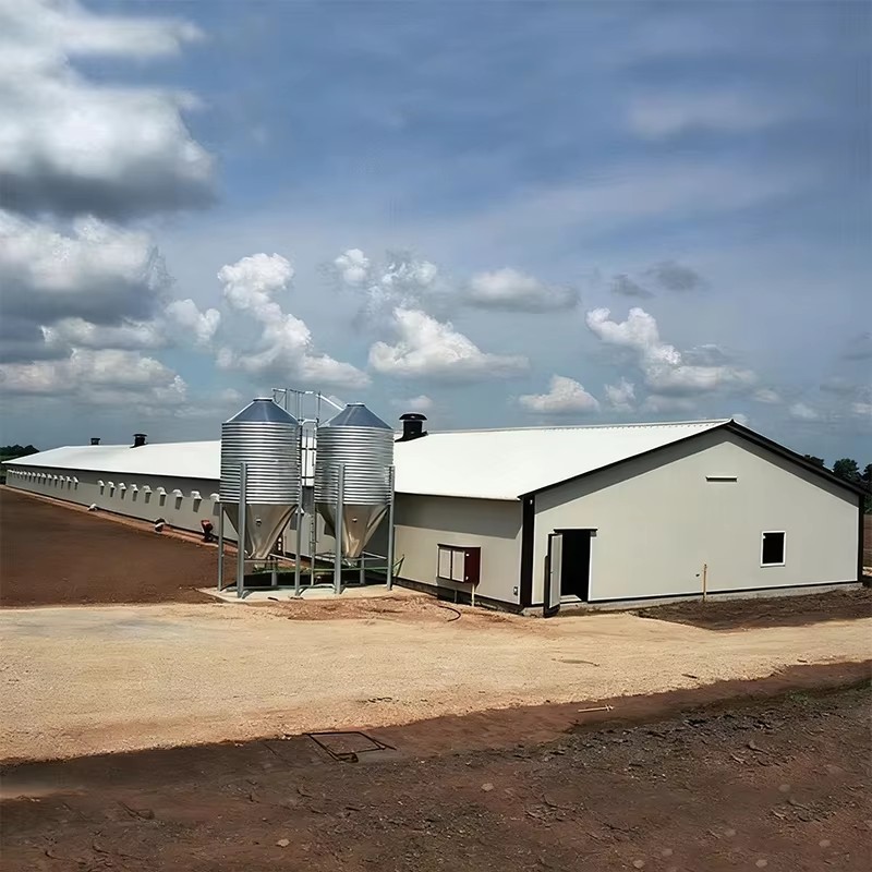 Durable Q235 Steel Structure Chicken House With Eco-Friendly Weather-Resistant Design