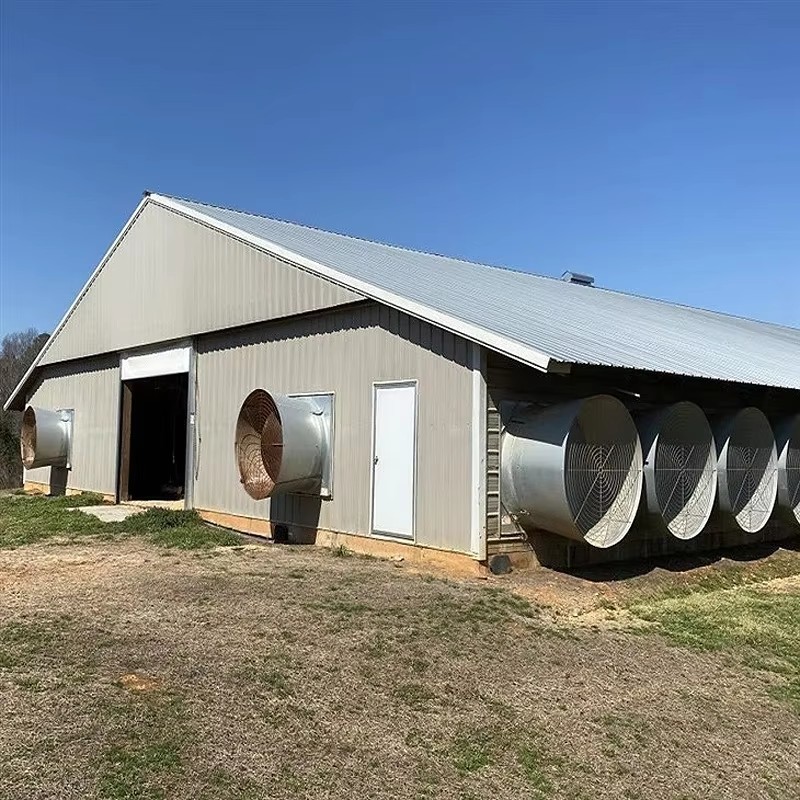 Efficient Steel Structure Chicken House With Fast Install Customized Size And Sandwich Panel Steel Frame