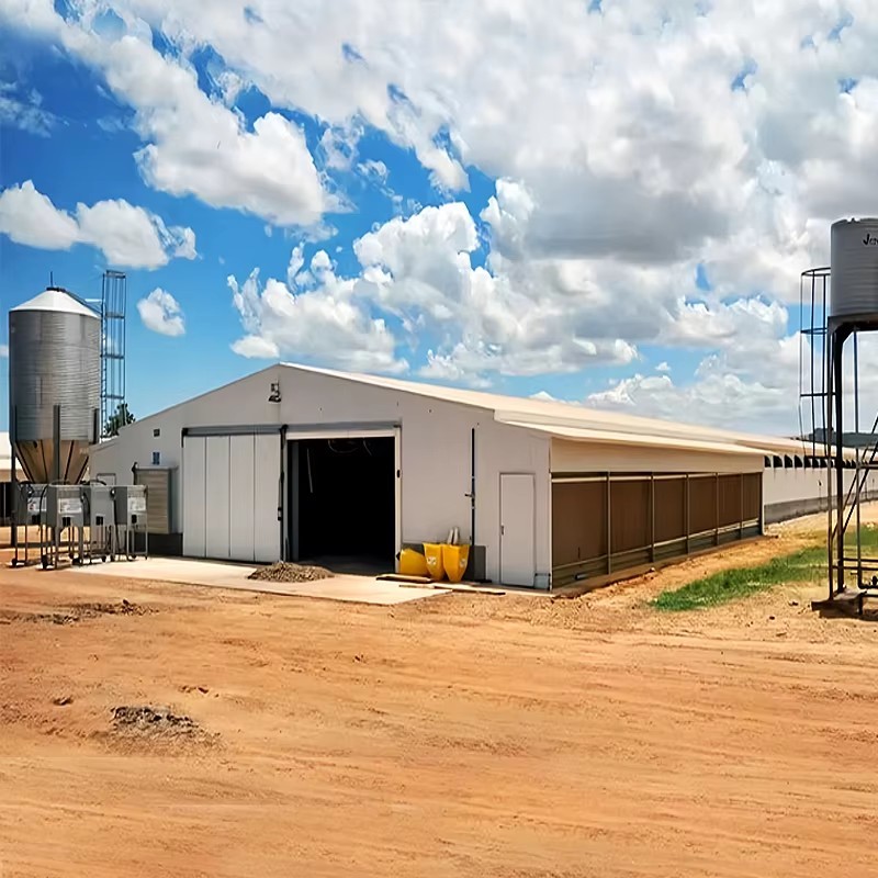Prefabricated Steel Structure Chicken House With EPS Sandwich Panel Wall, Corrugated Steel Sheet Roof, And Polyurethane Foam Insulation