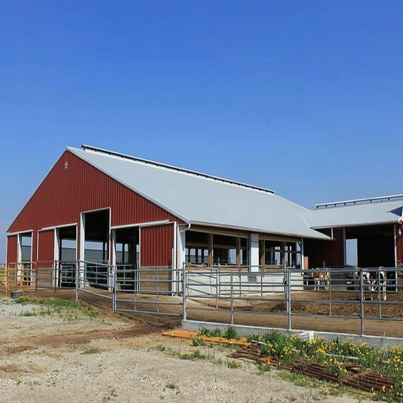 Prefab Cow Shed With EPS Sandwich Panel Walls And Corrugated Steel Sheet Roof Featuring Polyurethane Foam Insulation