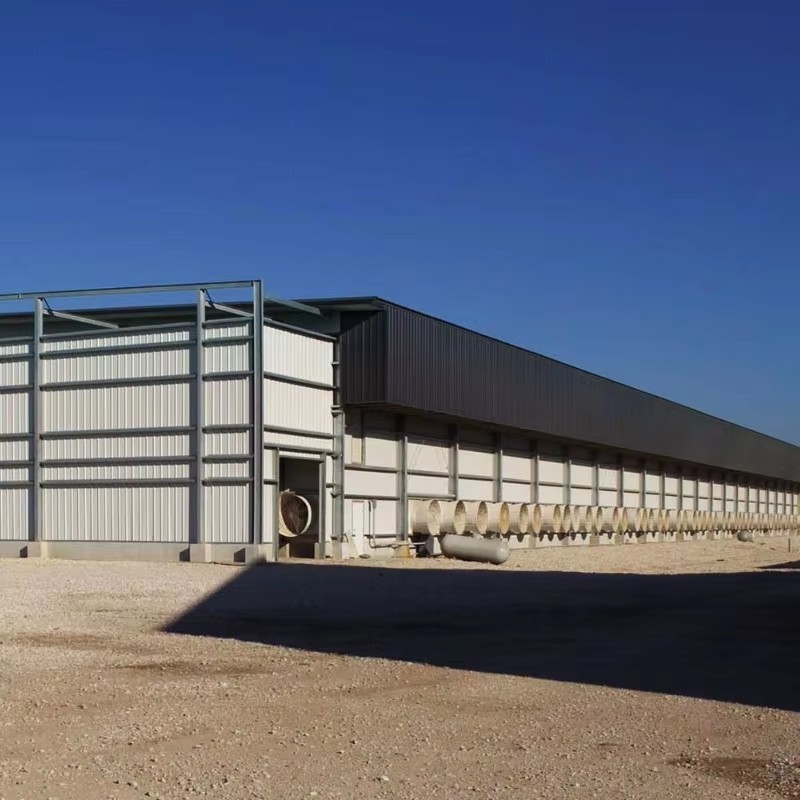 Eco Ventilated Steel Structure Cow Shed Prefab