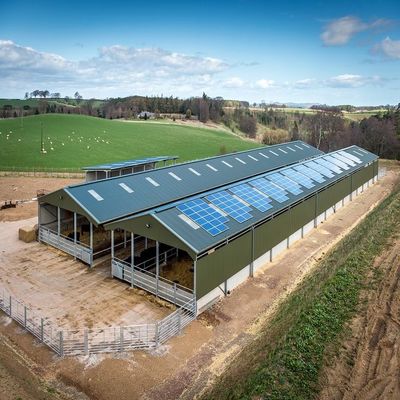 Easy Install Industrial Steel Sheds Customized Low Cost Steel Buildings