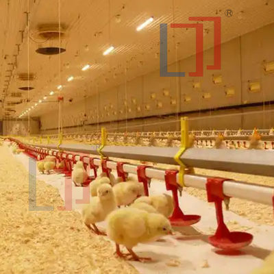 Automatic Prefab Steel Structure Chicken House Q235 Q345 Steel Frame Shed House