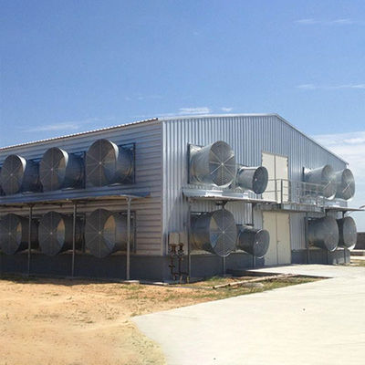 Custom Modern Steel Frame House , High Strength Metal Chicken House