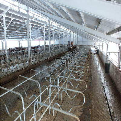 Steel Frame Prefabricated Goat Shed Q235B Q355B Steel Factory Shed