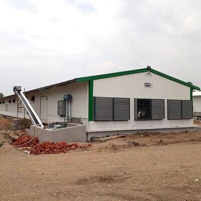 Weatherproof Clear Span Steel Structure Cow Shed
